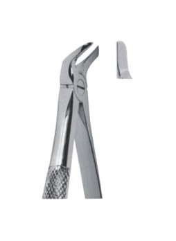 Extracting Forceps
